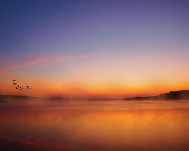 #morning #color #light #bird photo preview