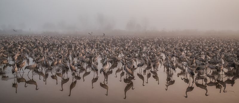 The Immensityphoto preview