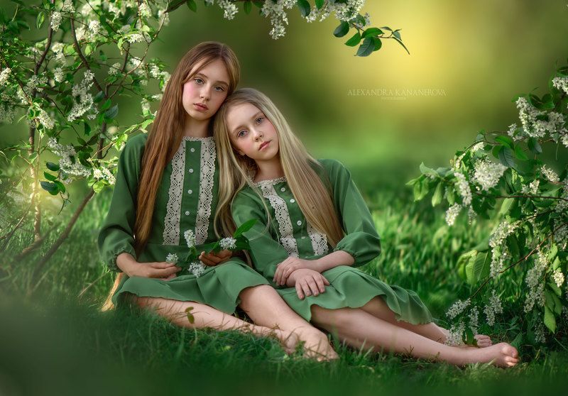 Черёмухаphoto preview