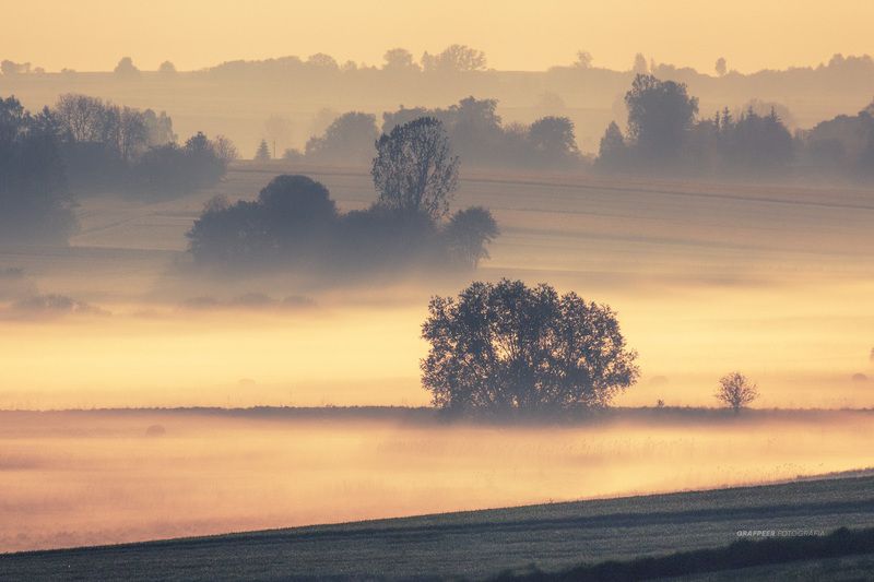fields, morning, foggy, sunligt, sunrise, landscape, rpowroznik mystical morning...photo preview