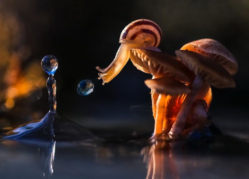 Мгновениеphoto preview