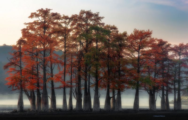 Вместе встретить утро фото превью