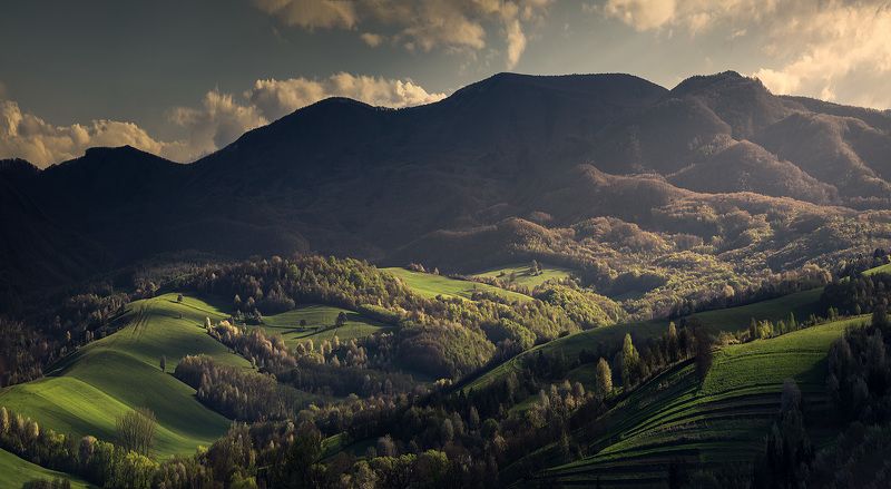 The wallphoto preview