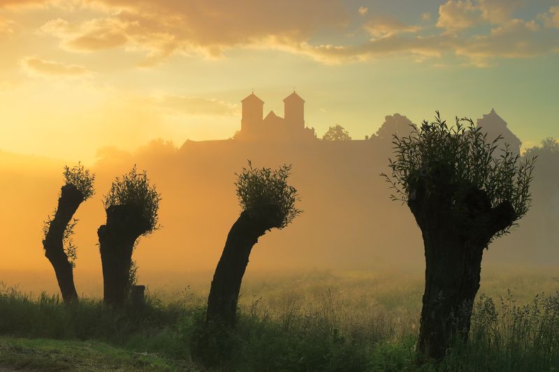 sunrise, morning, fog, mist, spring, tree, willow, tyniec, monastery, abbey, 2/4photo preview