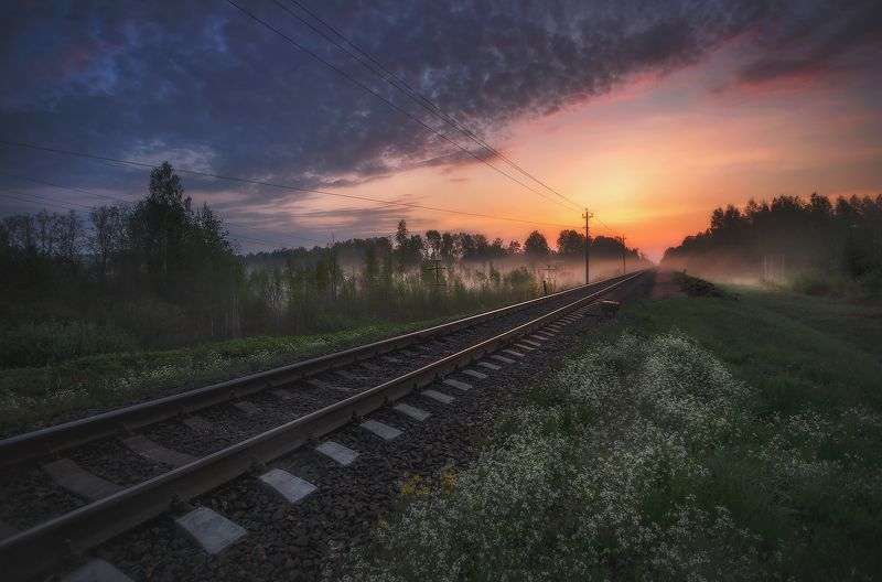 луга, пейзаж, весна Утро после ураганаphoto preview