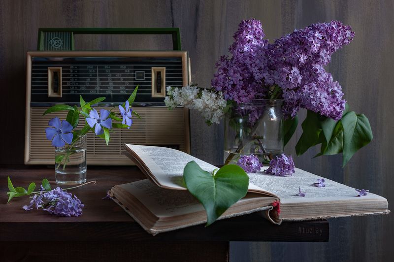 сирень, спидола, ретро радио Еще пара кадров со Спидолойphoto preview