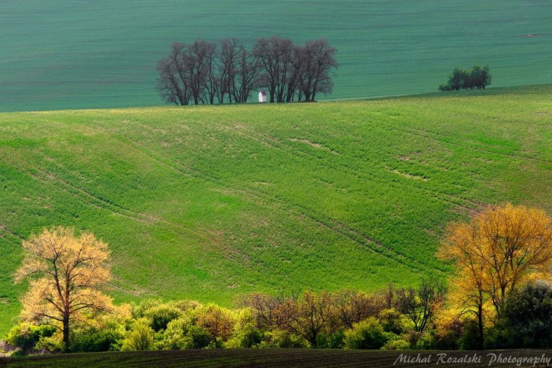 moravia, ,hills, ,spring, ,season, ,colors, ,tree, ,light, ,sunrise, ,fields, ,landscape, ,photography, ,chapel, ,green Chapel among the treesphoto preview
