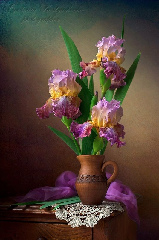 художественное фото,натюрморт,букет с цветами,ирисы. Любимые ирисы.photo preview