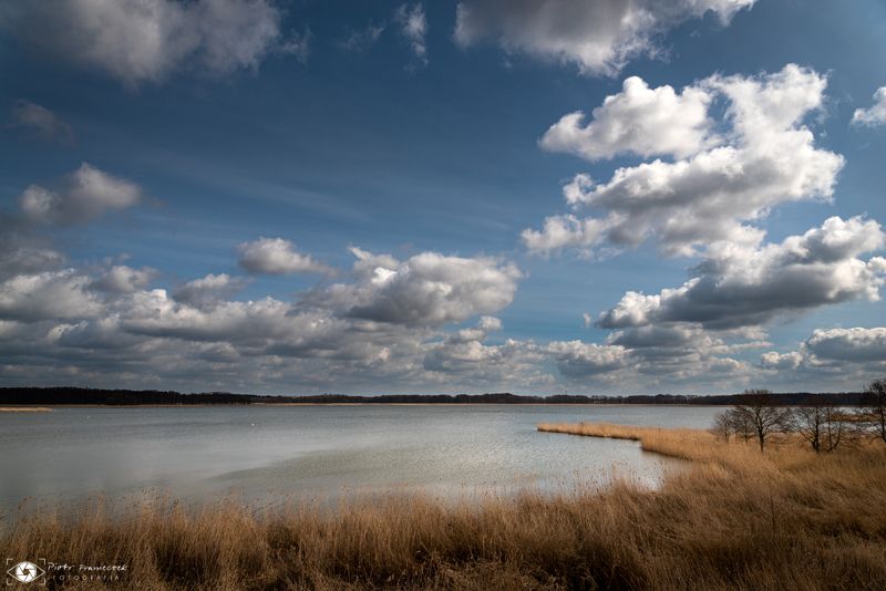 #pond #clouds #skyporn Cloudsphoto preview