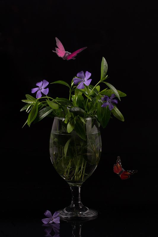 Натюрморт с барвинкомphoto preview