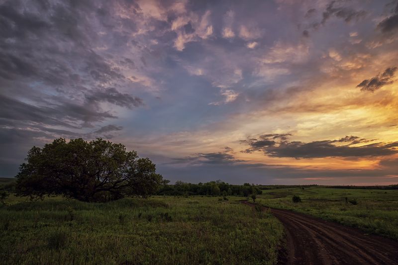 пейзаж, закат, дерево, природа, облака, трава, просёлочная дорога На закатеphoto preview