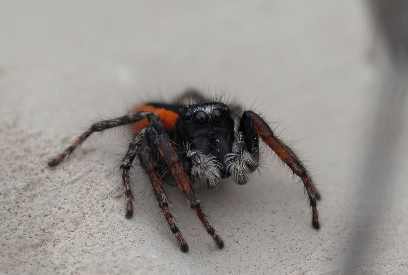 Фото на памятьphoto preview