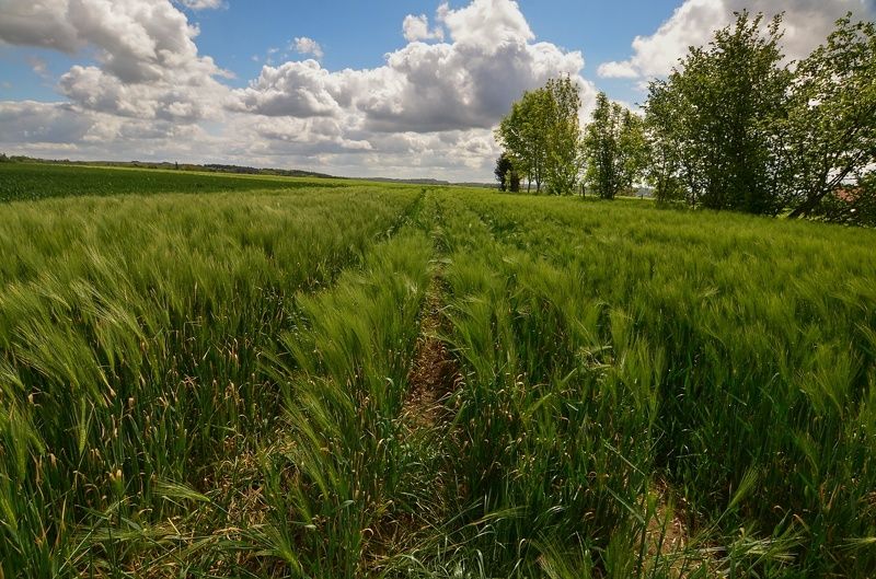 вокруг Braine-le-Chateauphoto preview