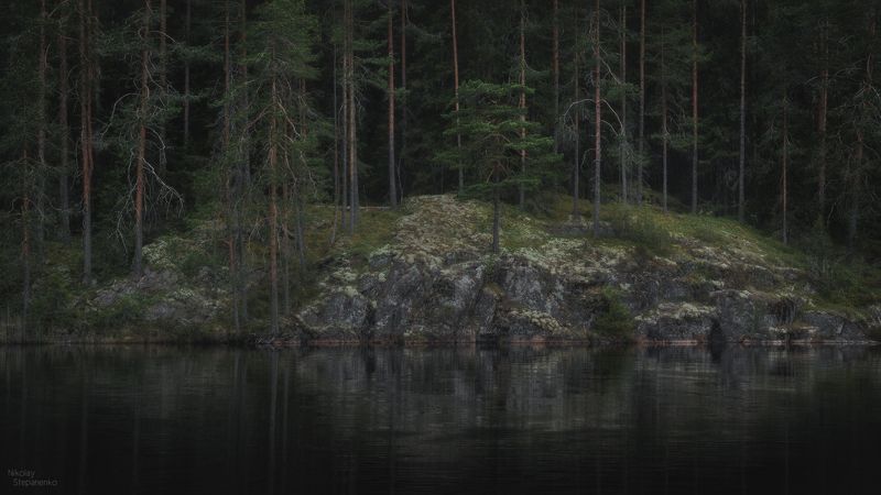 весна, лес, озеро, тайга, ленинградская область, выборгский район Дебриphoto preview