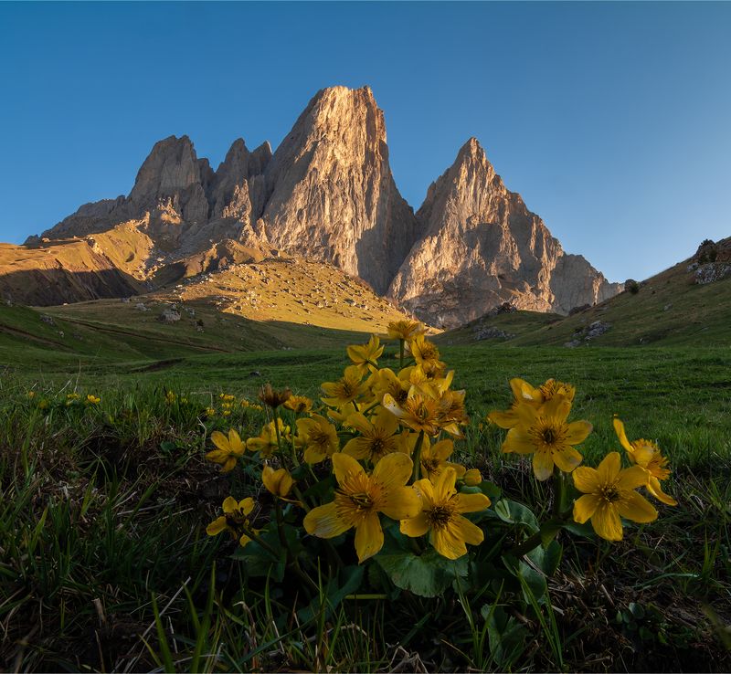 природа, пейзаж, горы, кавказ, природа россии, дикая природа, весна, утро, рассвет Цей-Лоамphoto preview