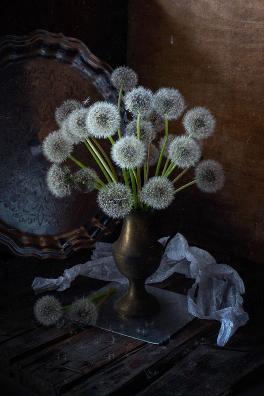 натюрморт, одуванчик, весна, воздушный, лёгкий, букет, май Воздушный букетphoto preview