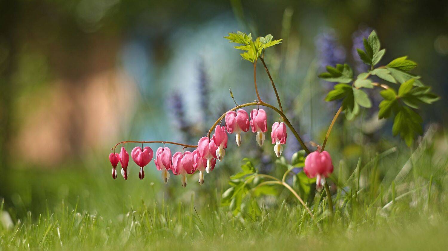 , Эдуард Колобошников