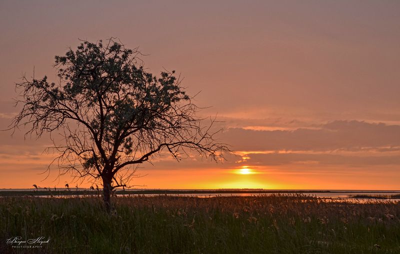 азов, сиваш, закат, вечер, май, арабатская стрелка, стрелковое Одинокий свидетель закатаphoto preview
