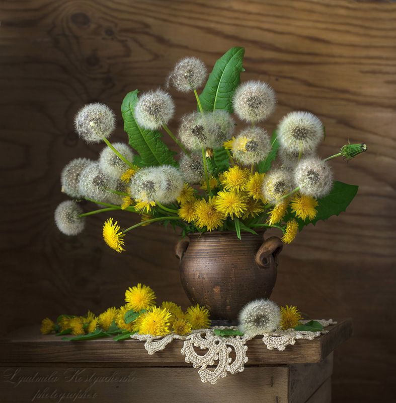 художественное фото,натюрморт,букет с цветами,одуванчики. Отцветают одуванчики.photo preview