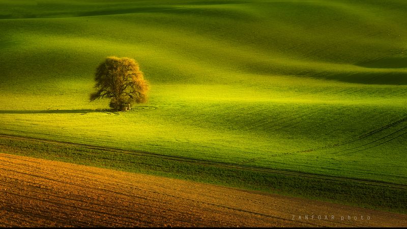 моравский одиночка,моравская тоскана,одиночка,занфоар zanfoar,чешская республика nikon d750,czech republic,поле Моравский одиночкаphoto preview