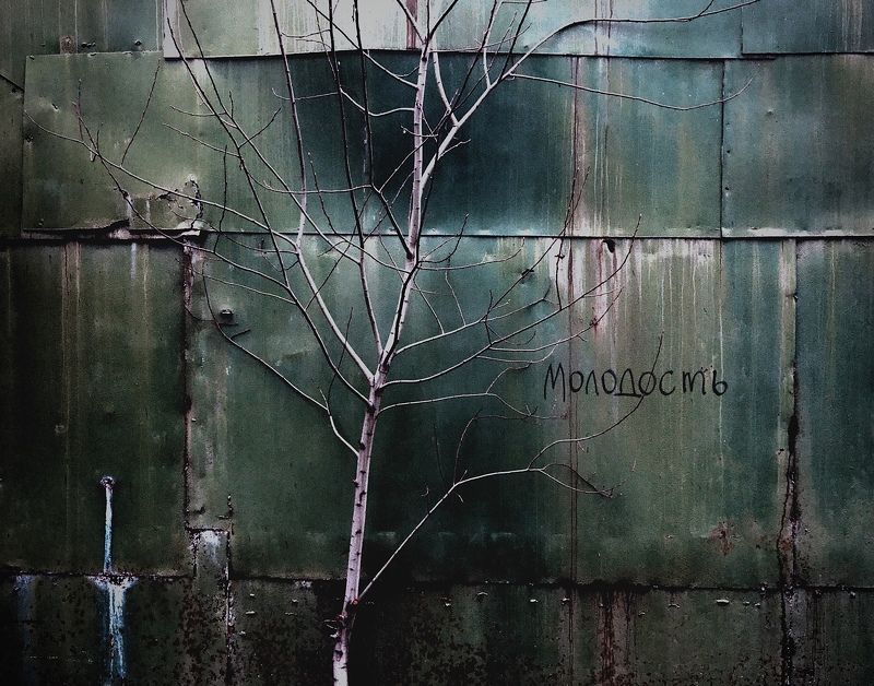 city, urban, tree, youth Youthphoto preview