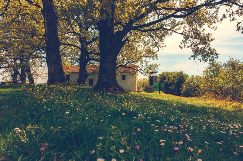 sony rx 100-4 village Slivarovo,Strandzha,Bulgariaphoto preview