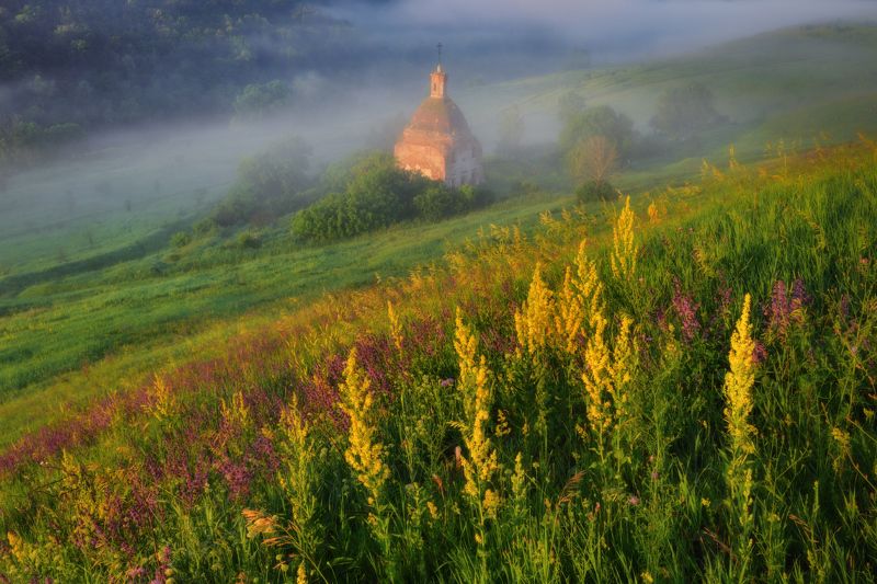 #трава#солнце#река#свет#лето#туман Июльские туманыphoto preview