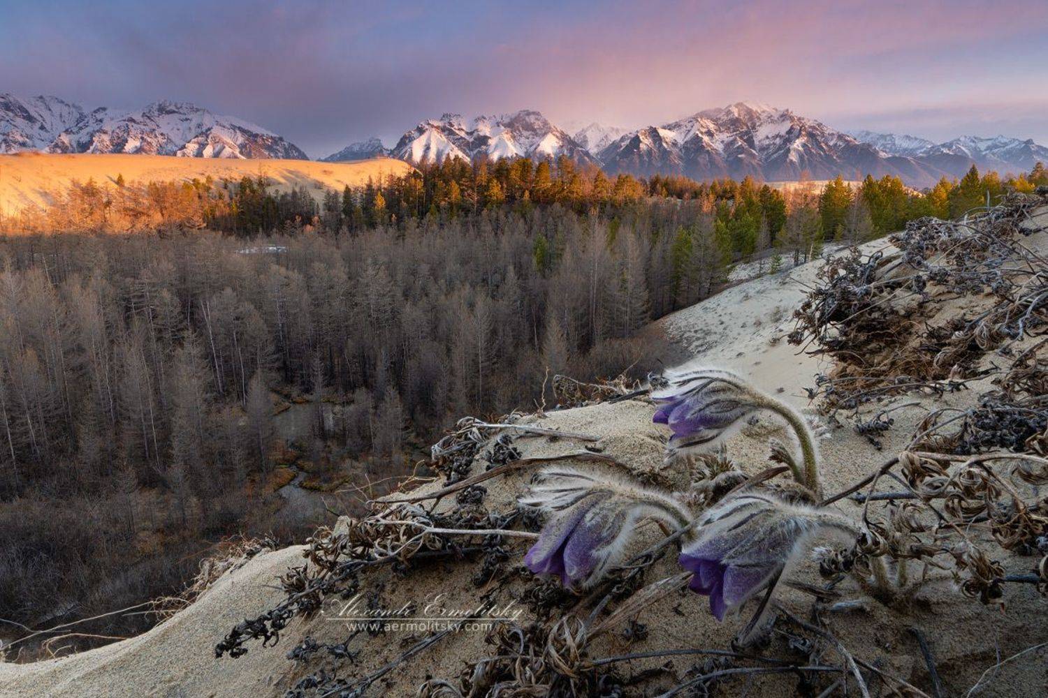 забайкалье, кодар, чарские пески, kodar, chara, Александр Ермолицкий