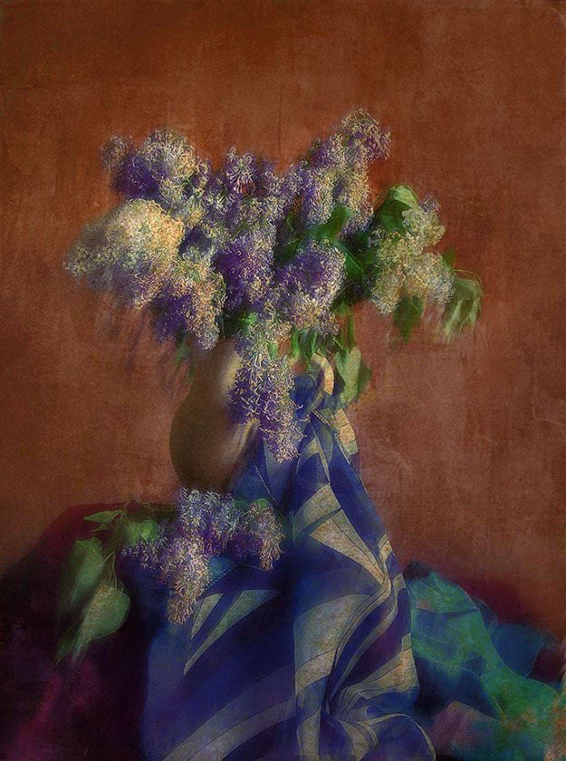 Сирень. Увядание.. Автор: Viacheslav , Viacheslav