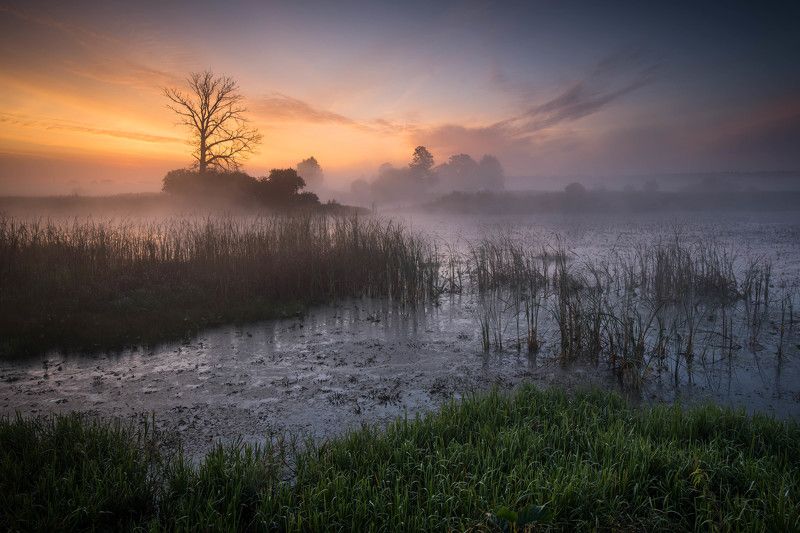 Bug riverphoto preview