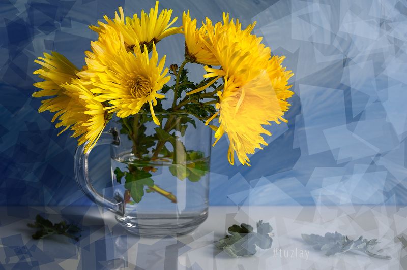 хризантемы Цветочная фантазия с полигональным уклоном...photo preview