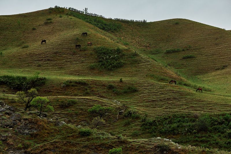 Дагестан фото превью