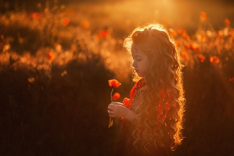 маки, поле, закат, дети Закат в макахphoto preview