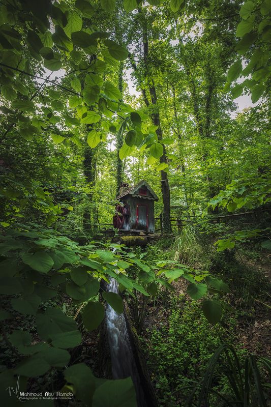 Hobbit Housesphoto preview