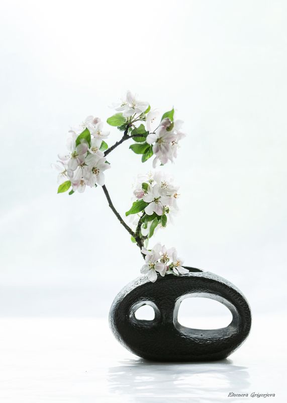 Время цветения. Яблониphoto preview