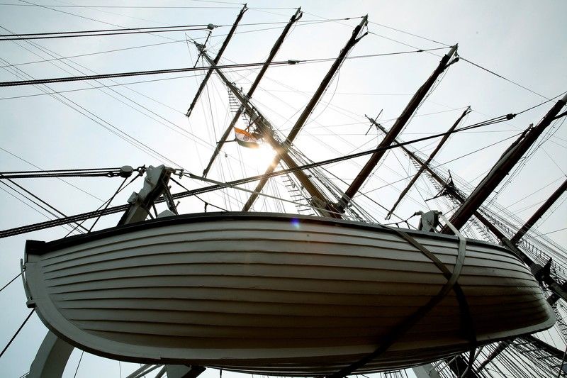 ............. фото превью