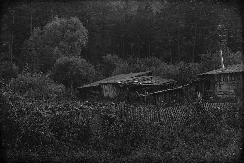 лес, тайга, двор, огород. забор, дом, заброшенный, глушь, безлюдно, Глухоманьphoto preview