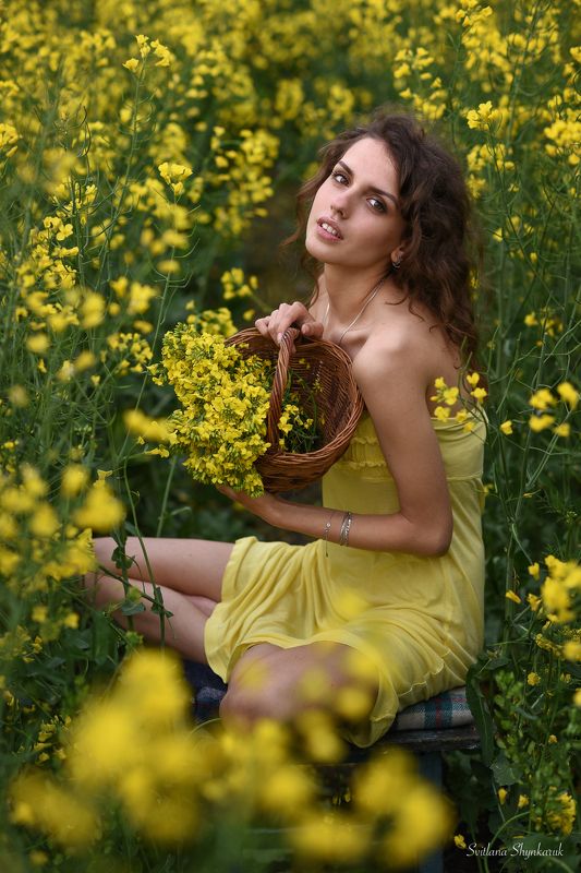 Rapeseed romancephoto preview