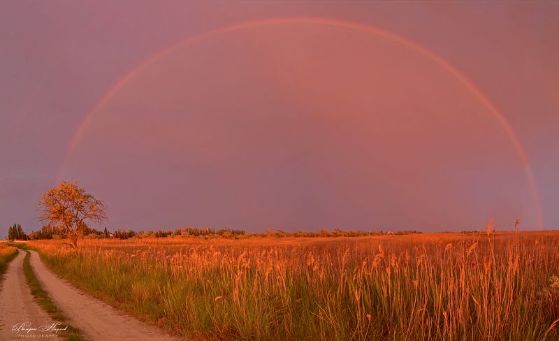 азов, закат, вечер, дождь, приазовская степь, арабатская стрелка, радуга Радуга на закатеphoto preview