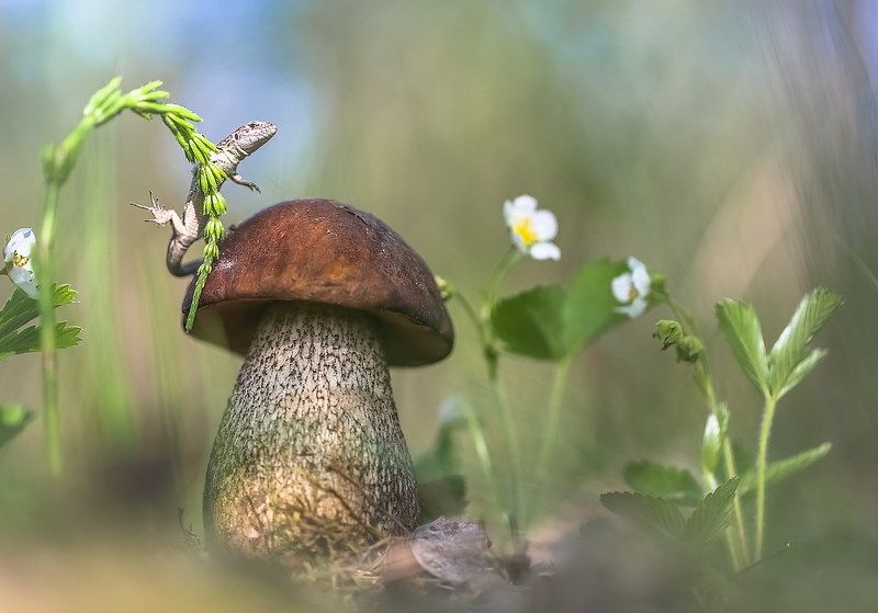 Весна-это новая жизнь.photo preview