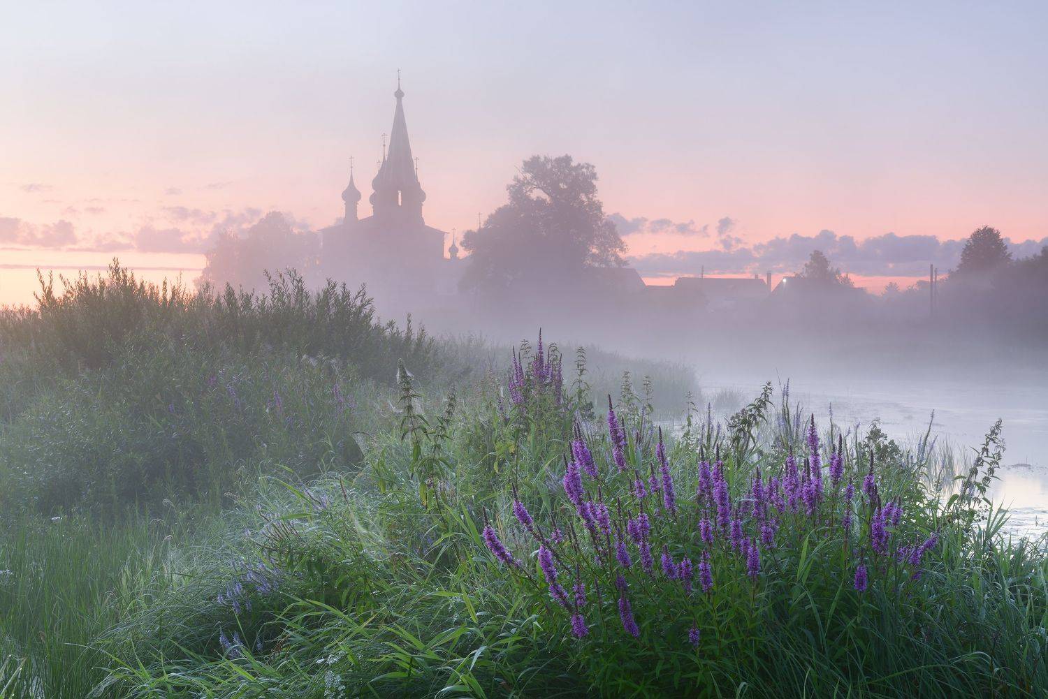 Летнее утро. Автор: Максим Евдокимов (phototourtravel.ru) , Максим Евдокимов (phototourtravel.ru)