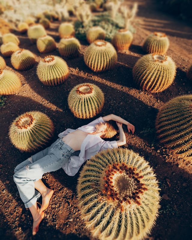 портрет, portrait, people, girl, lady, жанр, mood, soul, девушка, nature, nude, nu, film, фотография, mountains, photo, island, beach Cactus Vibephoto preview