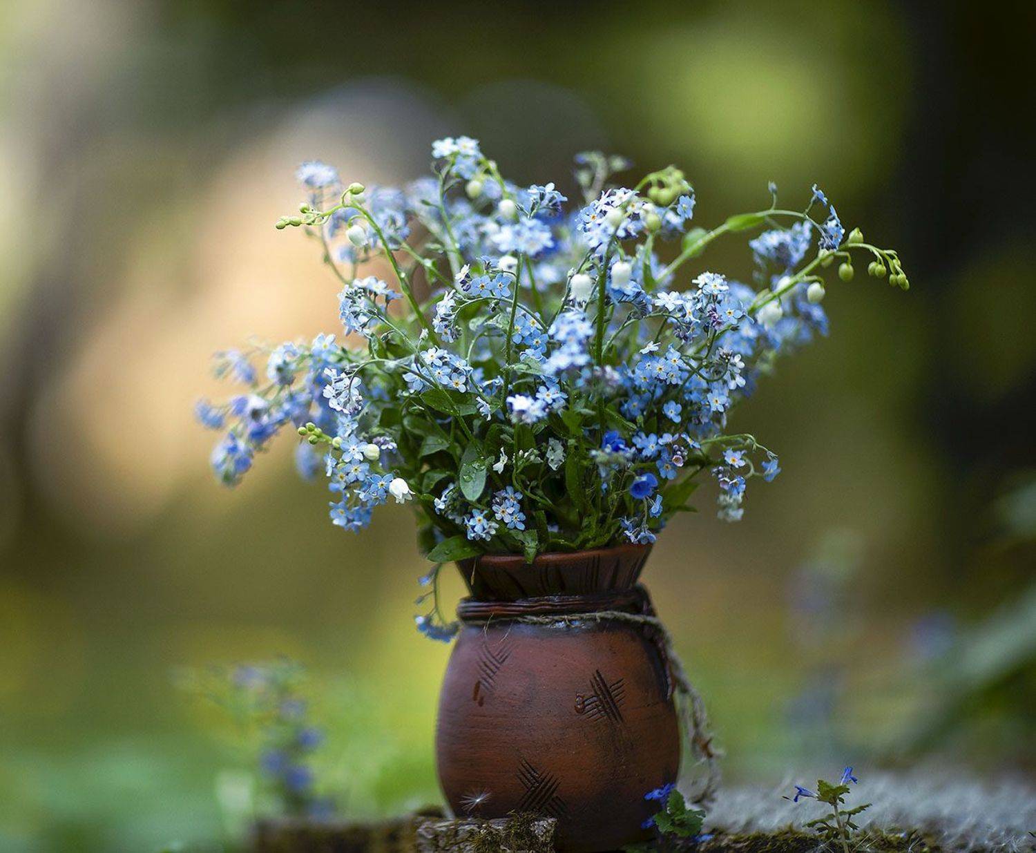 цветы,букет,красота,весна, природа, flower, beautiful,spring, nature, Юлия Стукалова