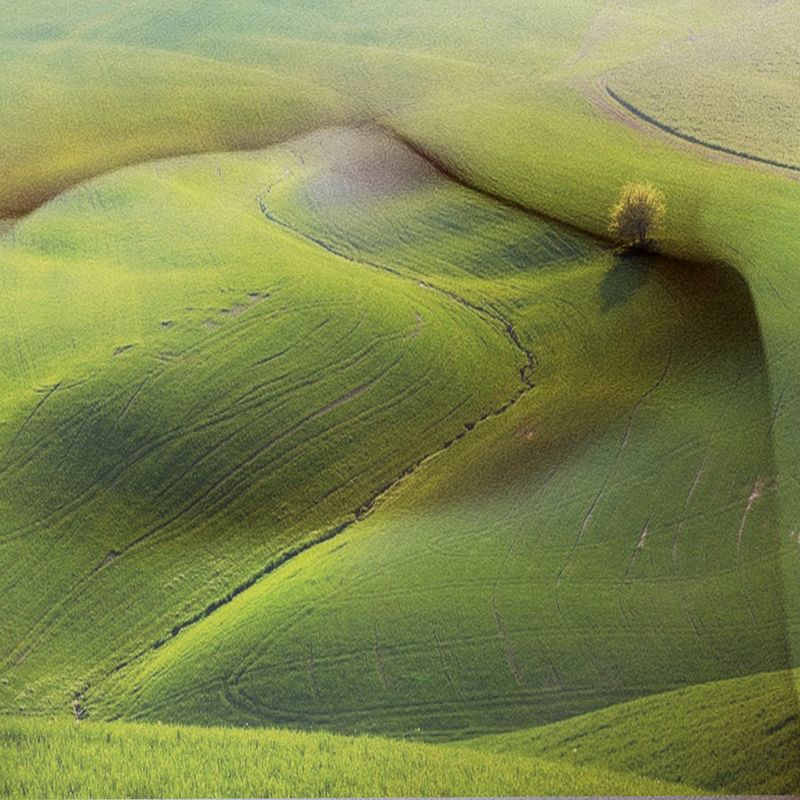 meadows, fields, green grass, hills, female body, chest, art, perspective, illusion, oasis, wood, meadowsphoto preview