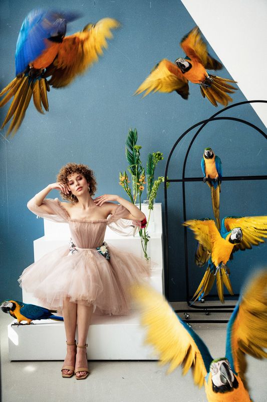 девушка попугай красота сон студия гламур ретушь мечты о полете. сон знойного маяphoto preview