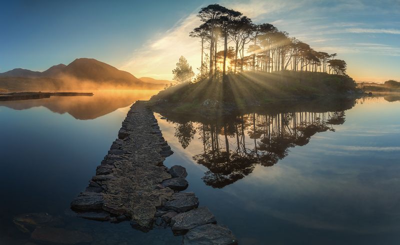 Pine Tree Islandphoto preview