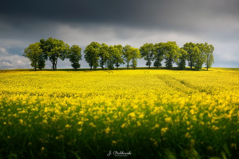 spring, fields,clouds Springvibesphoto preview