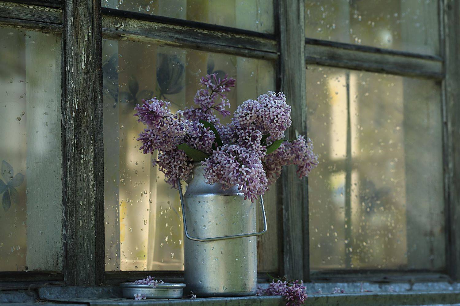 Автор: Наталья Бочкарева , Наталья Бочкарева