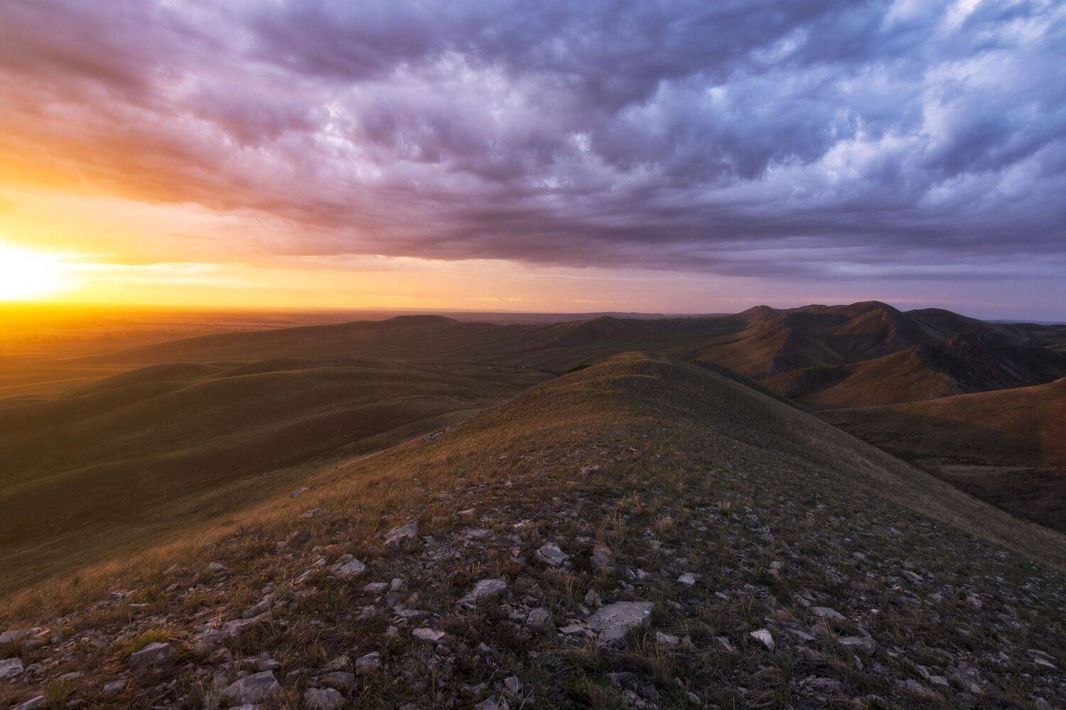 , Андрей Шарапов