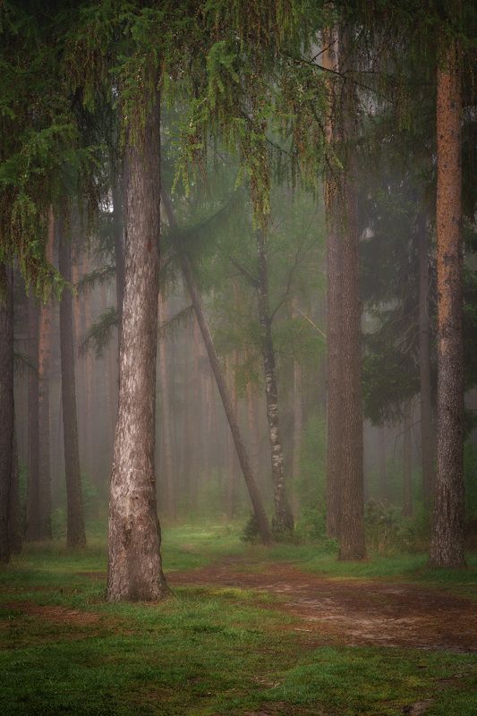 Возвращаясь к нахоженным тропамphoto preview